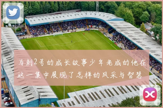 马刺2号的成长故事少年老成的他在这一集中展现了怎样的风采与智慧